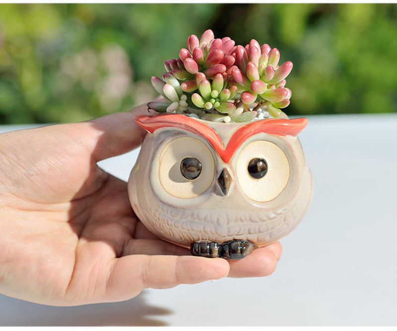 OwlPot® – Vaso de Flores de Coruja de Cerâmica para Decoração de Jardim e Escritório