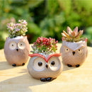 OwlPot® – Vaso de Flores de Coruja de Cerâmica para Decoração de Jardim e Escritório