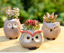OwlPot® – Vaso de Flores de Coruja de Cerâmica para Decoração de Jardim e Escritório