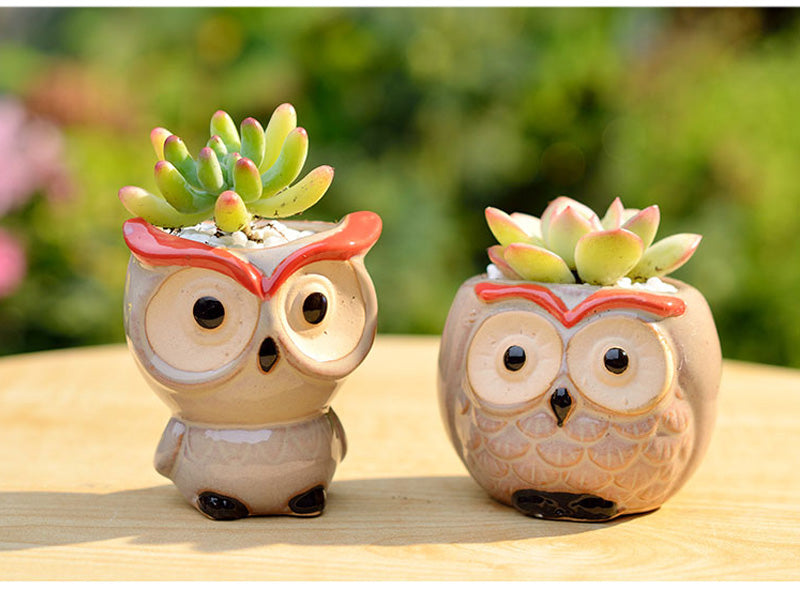 OwlPot® – Vaso de Flores de Coruja de Cerâmica para Decoração de Jardim e Escritório