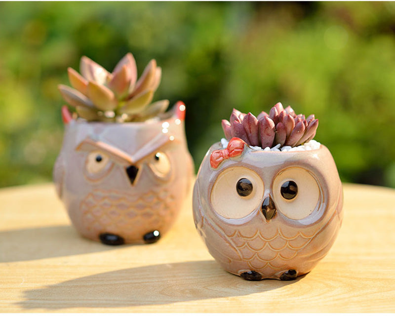 OwlPot® – Vaso de Flores de Coruja de Cerâmica para Decoração de Jardim e Escritório