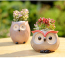 OwlPot® – Vaso de Flores de Coruja de Cerâmica para Decoração de Jardim e Escritório