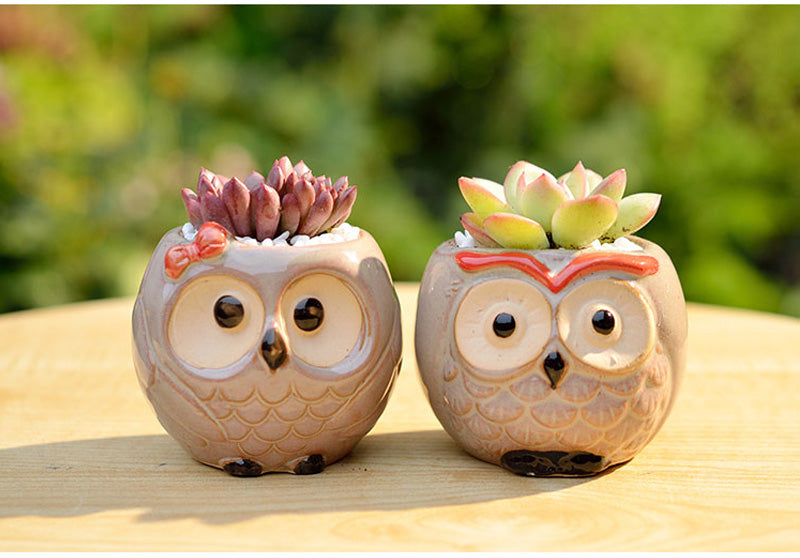 OwlPot® – Vaso de Flores de Coruja de Cerâmica para Decoração de Jardim e Escritório